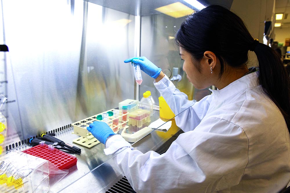 Cell & Tissue Culture Facilities